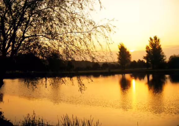 Image Golf de Carcassonne